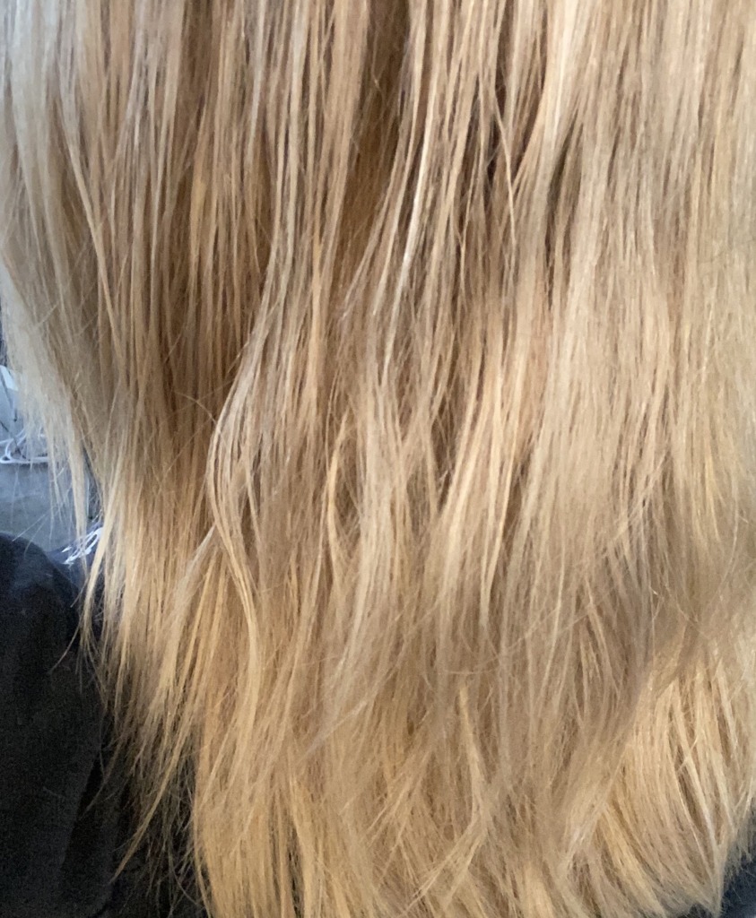 Wella T18 toner after results