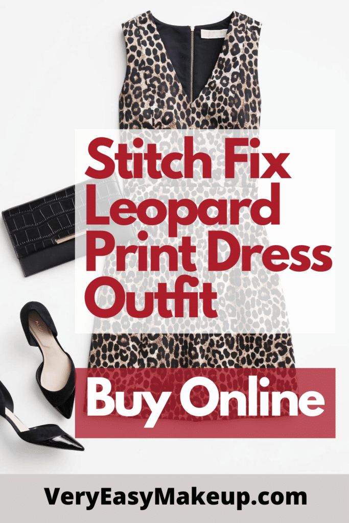 Stitch Fix leopard print outfit online