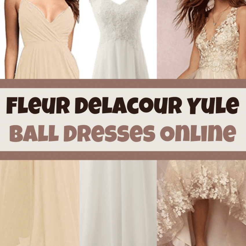 Fleur Delacour Yule Ball Dress Where to Buy It!