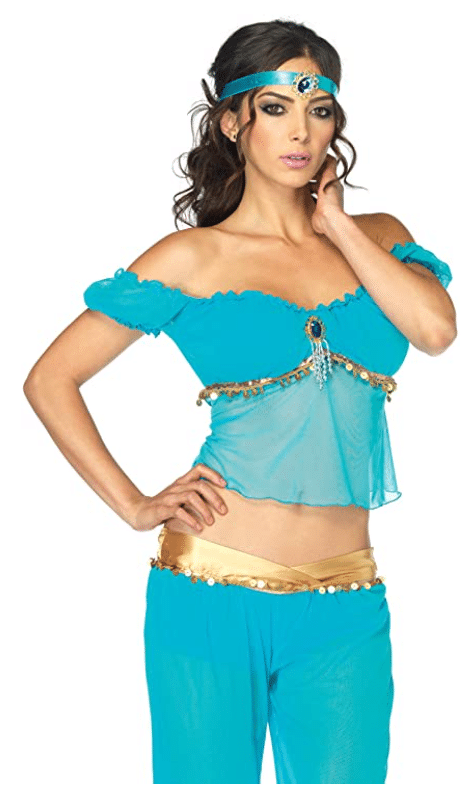 Jasmine from Disney's Aladidn costume for women that covers the stomach for women and adults for Halloween Disney cosutme idea