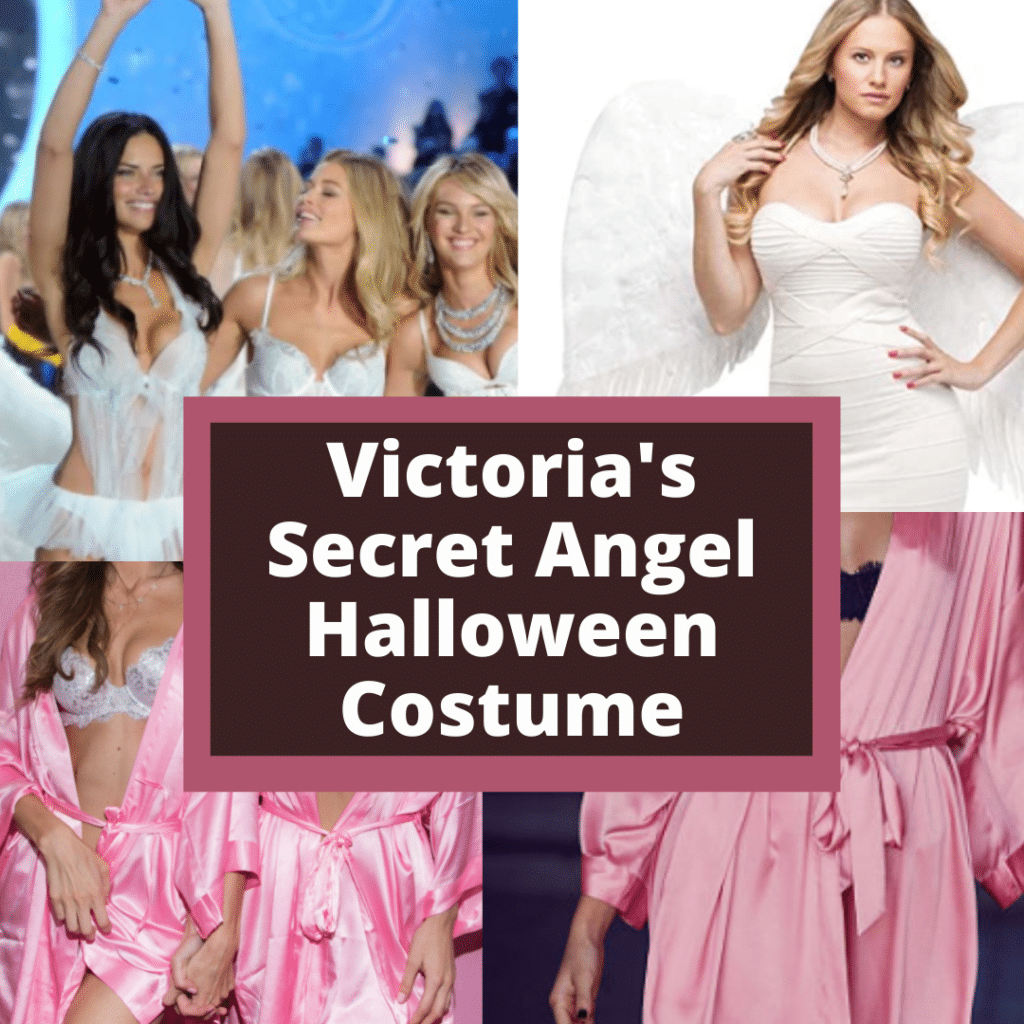 Victoria's Secret sexy Halloween costume idea