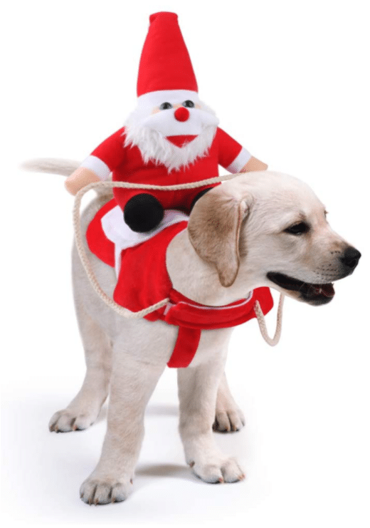 funny Christmas costume for dogs with Santa on top