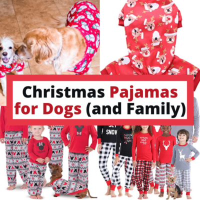 the best Christmas pajamas for dog and family