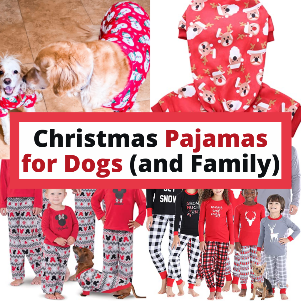Christmas Pajamas for Dog and Family