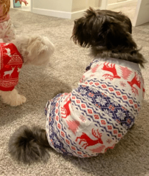 Reindeer Christmas Pajamas for Dogs