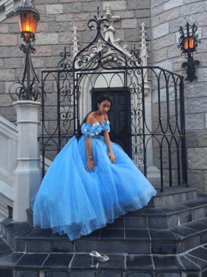 Cinderella Dress Adult