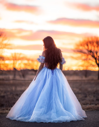 Cinderella Wedding Dress Online
