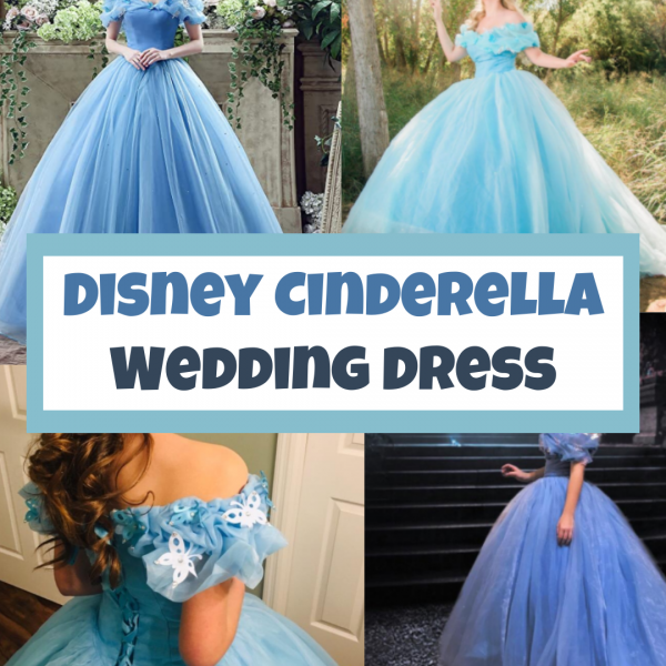 The best Disney Cinderella wedding dress for a Cinderella wedding.