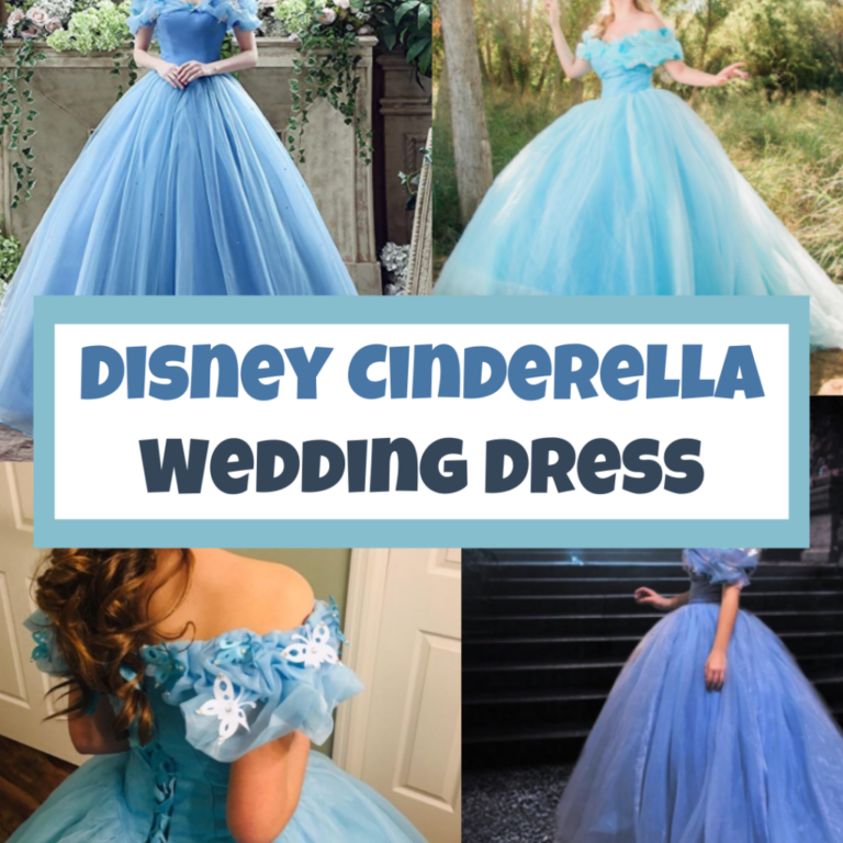 Best Disney Cinderella Wedding Dress (on Amazon!)