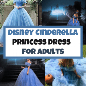 Disney Princess Cinderella Dress for Adults and Disney Cinderella Costume for Women