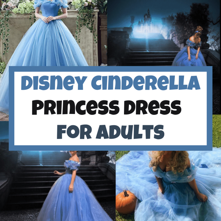 Best Disney Cinderella Dress for Adults + Cinderella Costume Ideas!