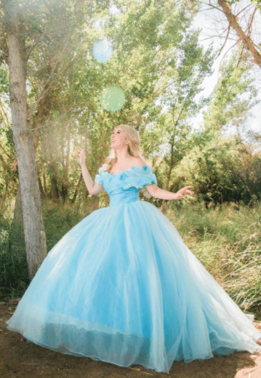 Disney Princess Cinderella Dress for Women