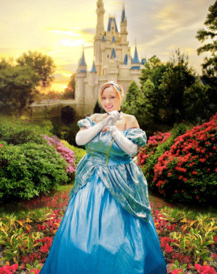 Plus Size Cinderella Costume for Adults