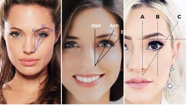Where Eyebrows Should Start for Shaping Eyebrows at Home for Beginners