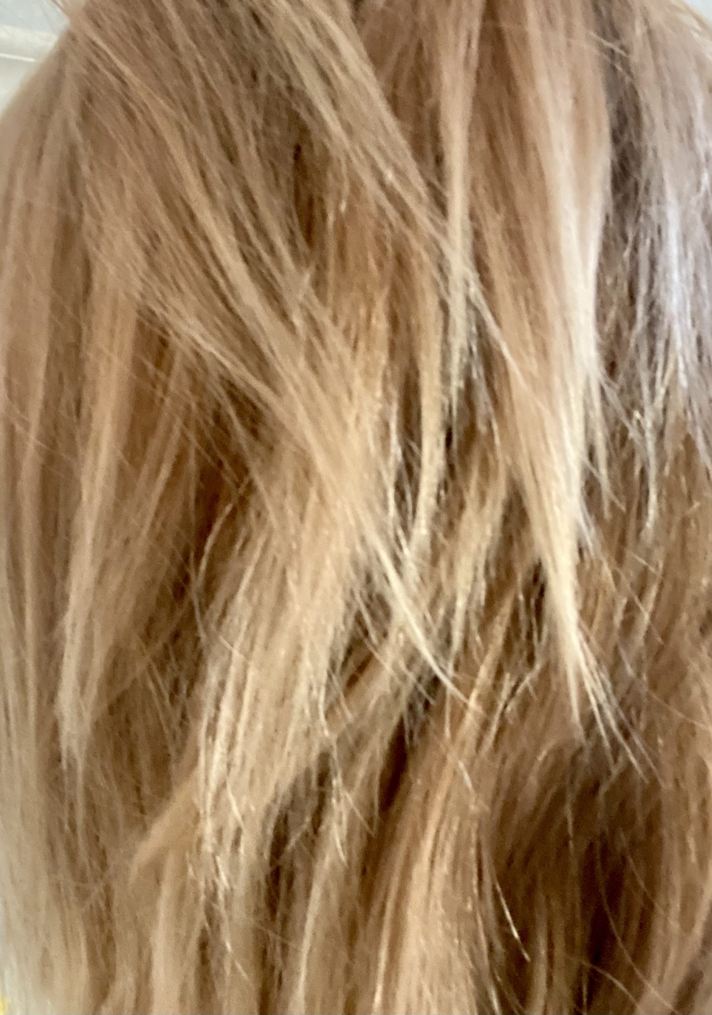 SunIn Hair Lightener Review and Before and After Results