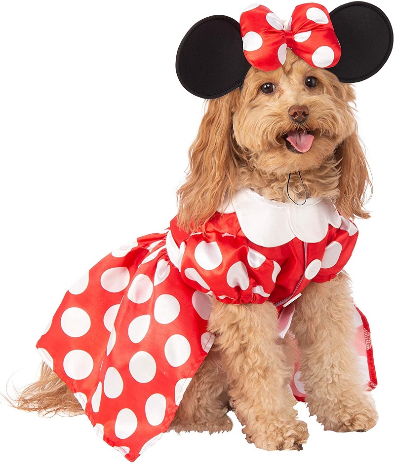 Disney Minnie Mouse costume for medium size dogs