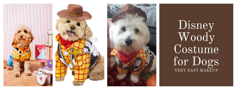 Disney Woody costume for dogs and best dog costume for black dogs