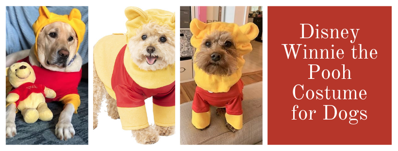 Disney Winnie the Pooh costume for dogs