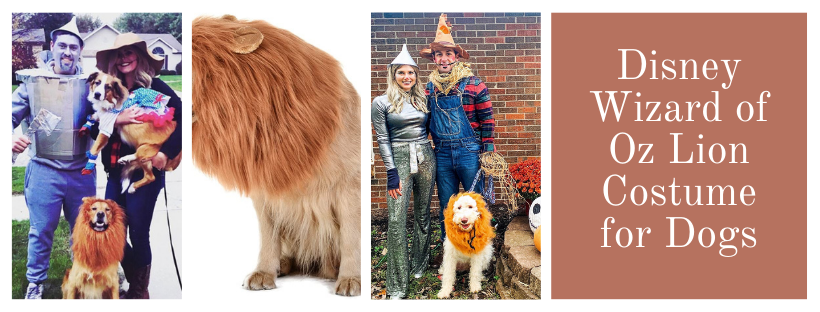 Disney's Wizard of Oz Cowardly Lion costumes for dog with family