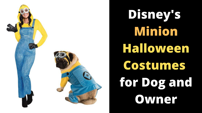 Disney matching Minion Halloween costumes for owner and dog