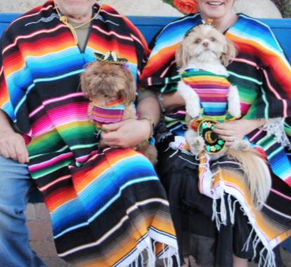 matching dog and owner Cinco De Mayo Halloween costumes