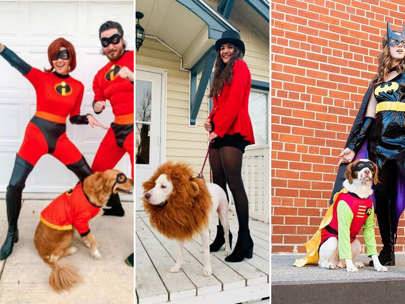the best cute Halloween costumes for dog and owner