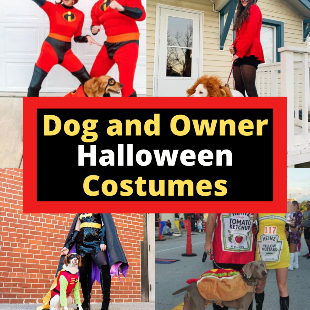 Best Dog and Owner Halloween Costumes on Amazon by Very Easy Makeup
