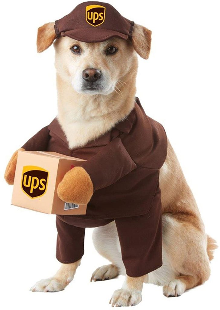 funny dog costume with dog UPS Driver costume