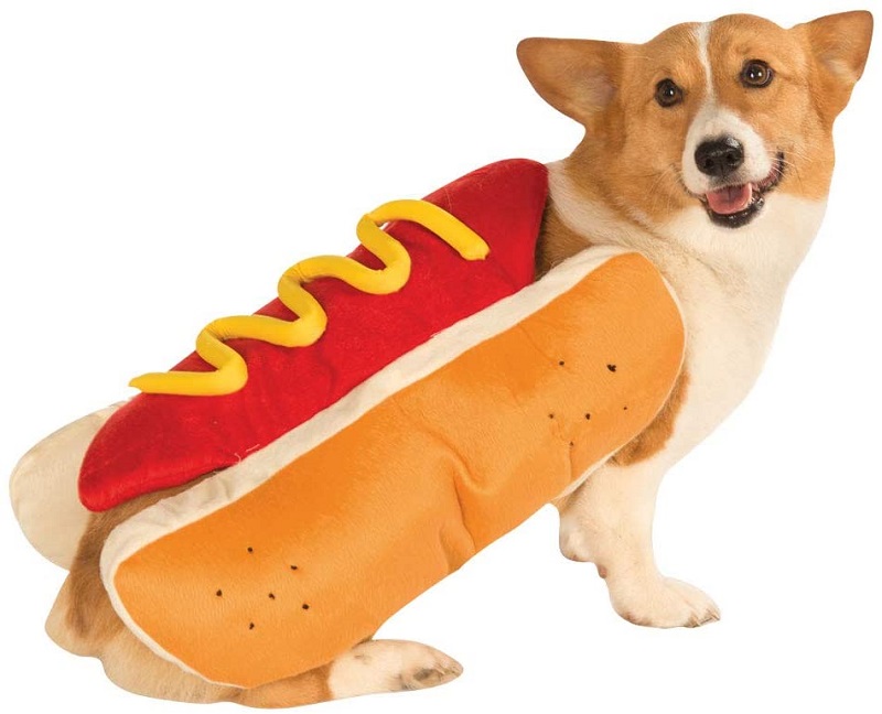 funny hot dog costume for dogs