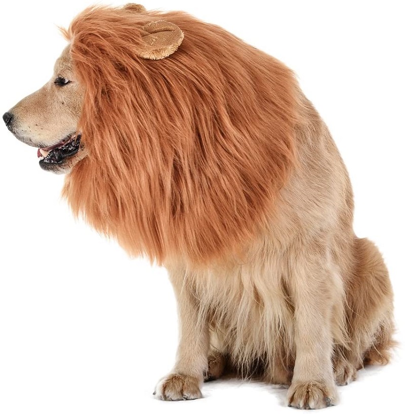 best lion costume for dogs