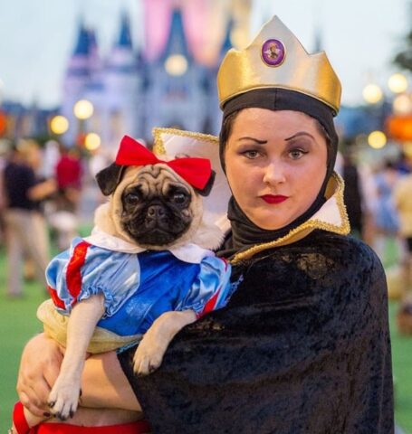 matching dog and owner Halloween costumes with Disney Snow White dog costume and Evil Queen plus size costume