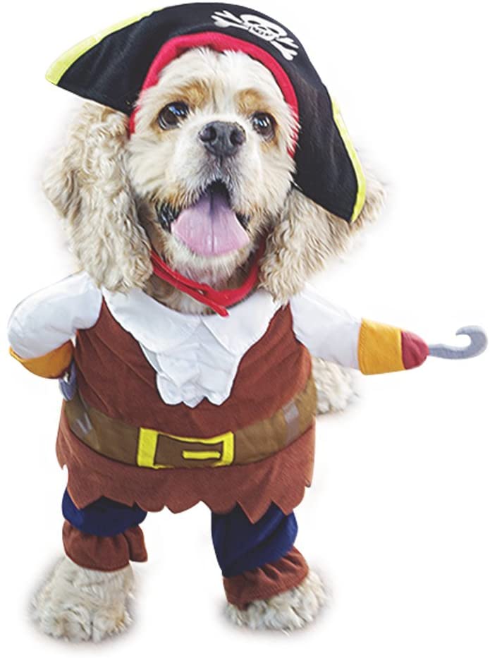 cute and funny pirate costume for dogs
