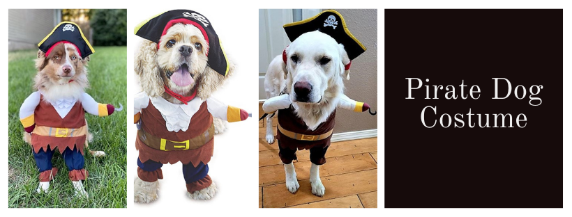 pirate dog costume for small dogs, large dogs, and black dogs