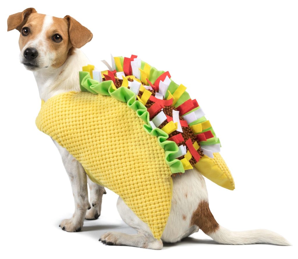 taco costume for dogs and best dog costume for Beagles