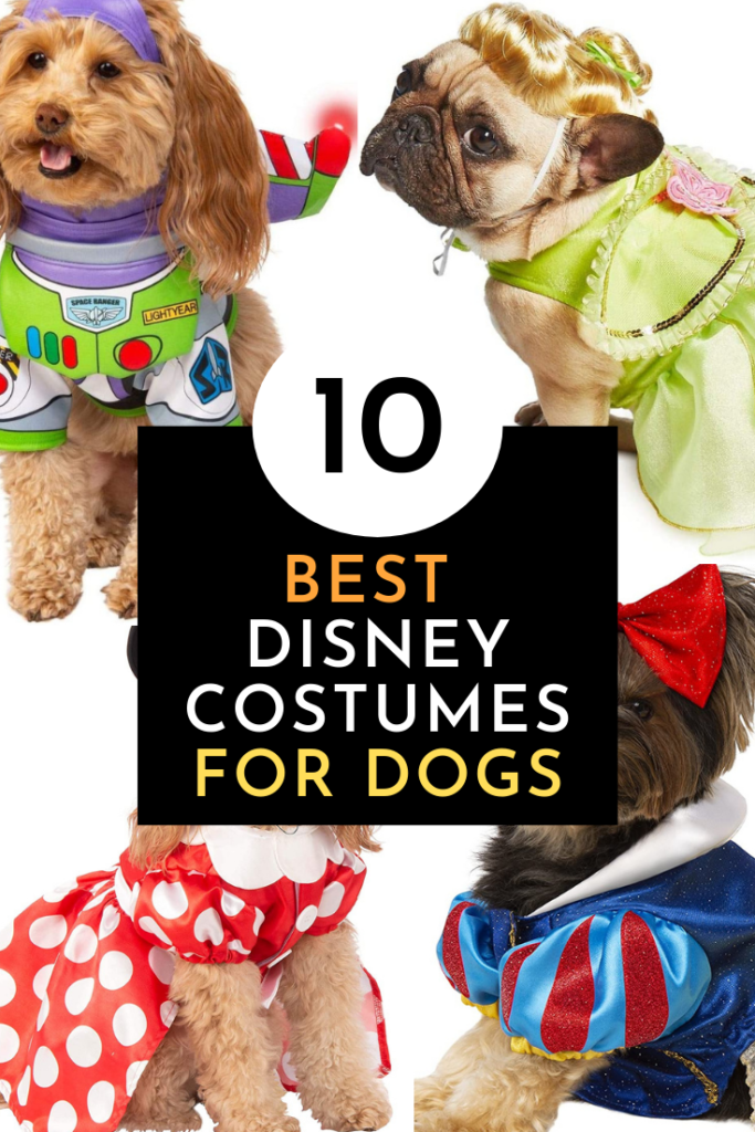 10 Best Disney Dog Costumes for Halloween.