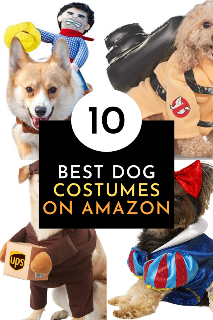 The 10 Best Dog Costumes Ever on Amazon by Very Easy Makeup
