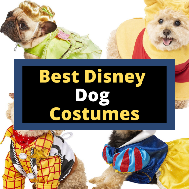 10 Best Disney Dog Costumes for Halloween
