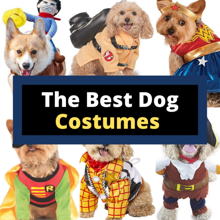 The Best Dog Costumes Ever on Amazon