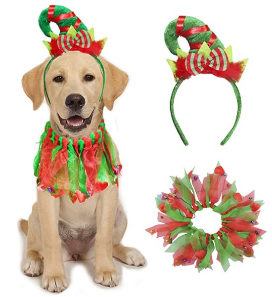dog Christmas red and green elf costume