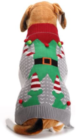 dog Christmas sweater outfit with elf