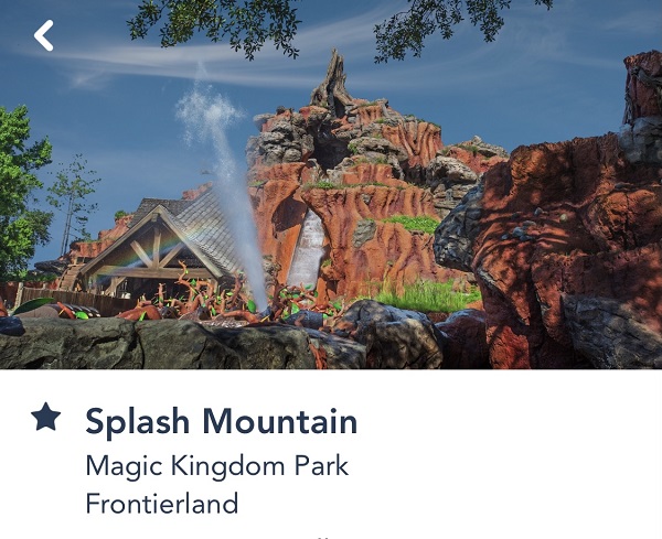Splash Mountain at Magic Kingdom as best ride for adults and kids