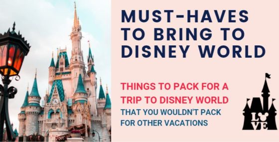18 Unexpected Things and Must-Haves to Bring to Disney World