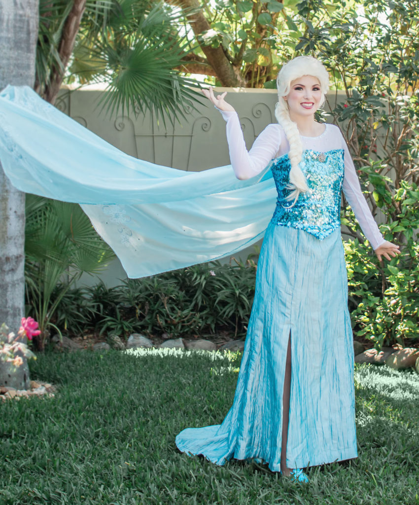 DIY Princess Elsa Costume for Adults