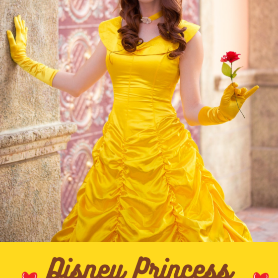 Best Disney Princess Belle Costumes for Adults