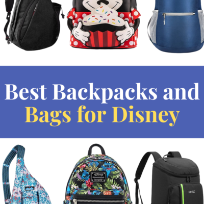 Best Backpacks and Bags for Disney