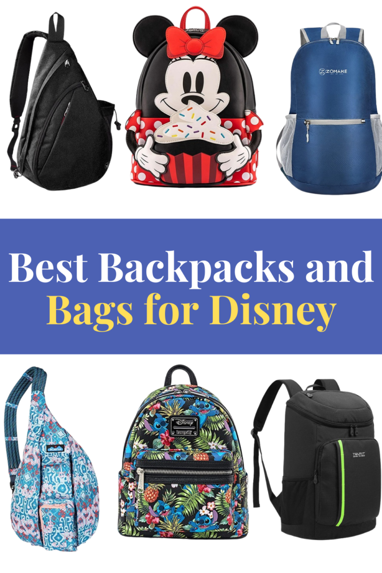 15 Best Backpacks for Disney and Bags for Disney World.