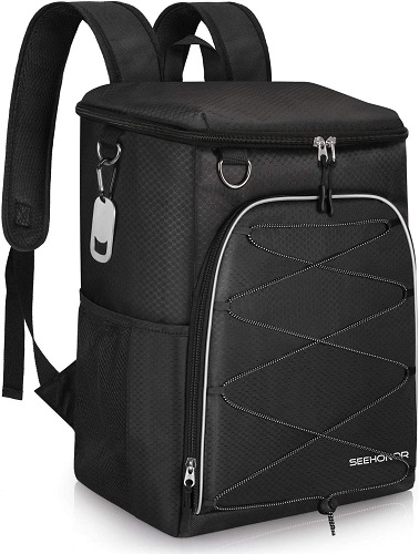 Best Disney Backpack for Carrying Food and Drinks by SEEHONOR
