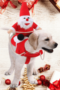 Funny Christmas Outfit for Dogs